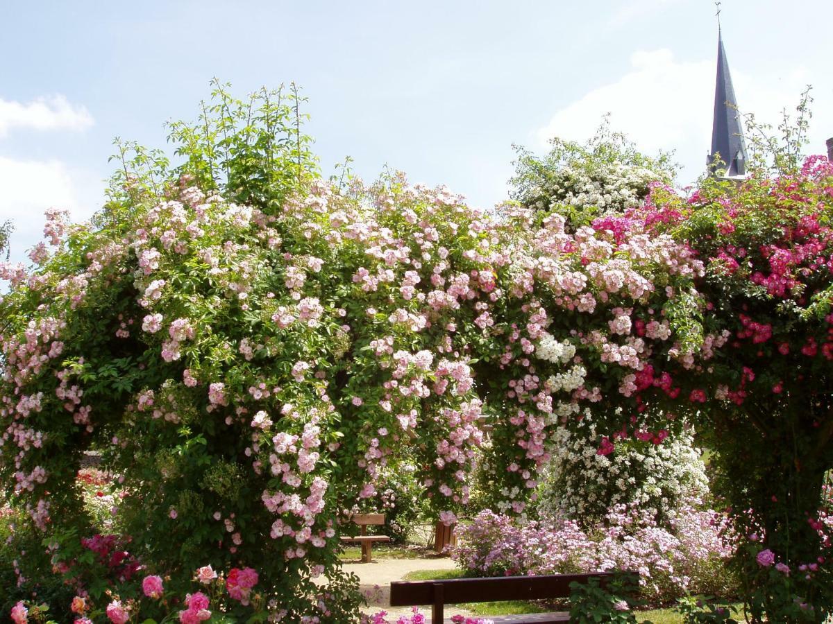 Chambres D'Hotes La Belle Taille Lassay-les-Chateaux Exterior foto