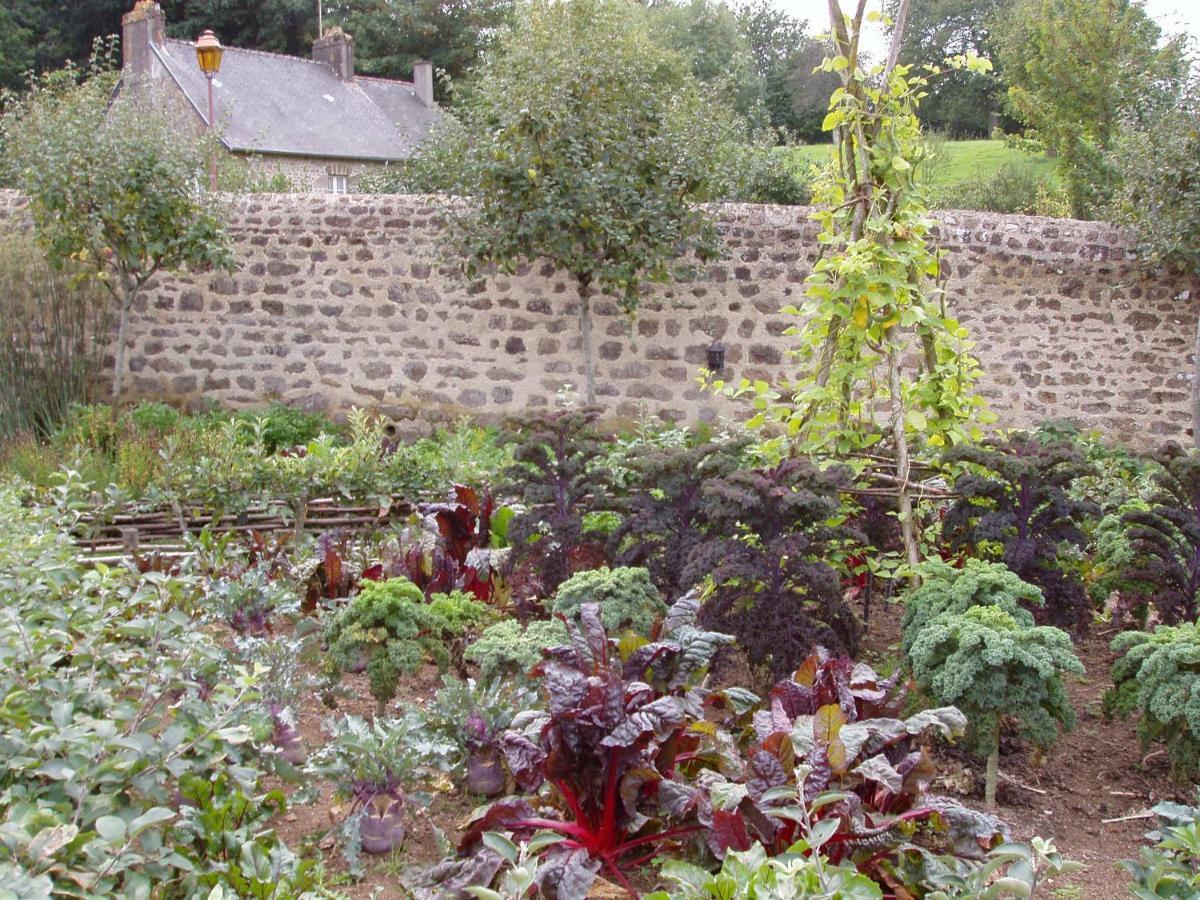 Chambres D'Hotes La Belle Taille Lassay-les-Chateaux Exterior foto